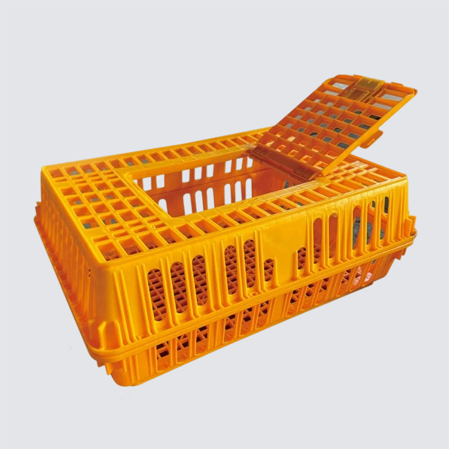 Chicken, duck, pigeon, and rabbit turnover box